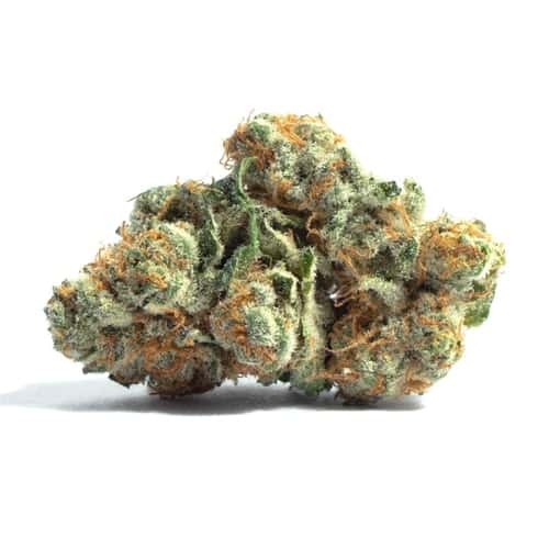 Cherry Punch