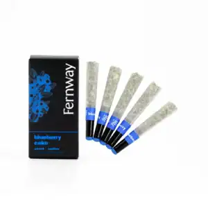Blueberry Cake [.5g]-Fernway